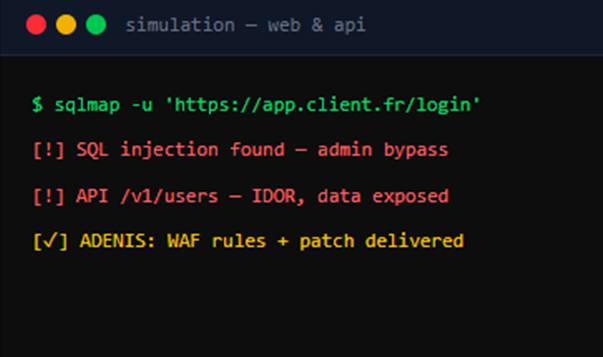 web & api - sqlmap